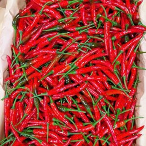 Ớt đỏ ( Red chili small)