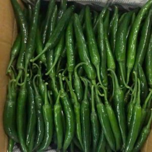 Ớt sừng xanh ( Green chili big)